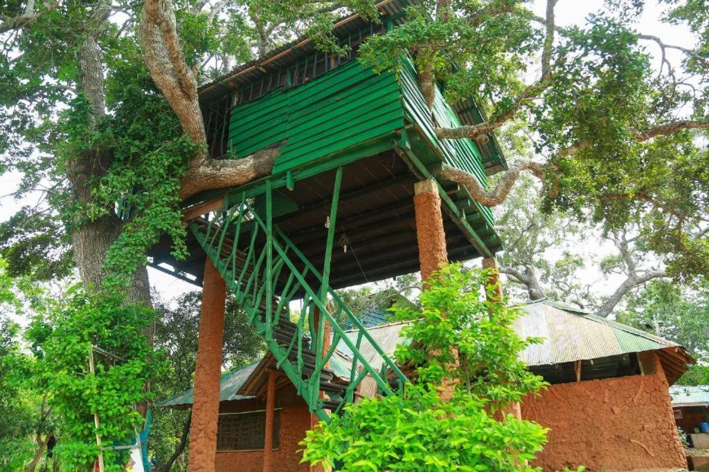 Yala Tree House Safari Hotel Eksteriør billede